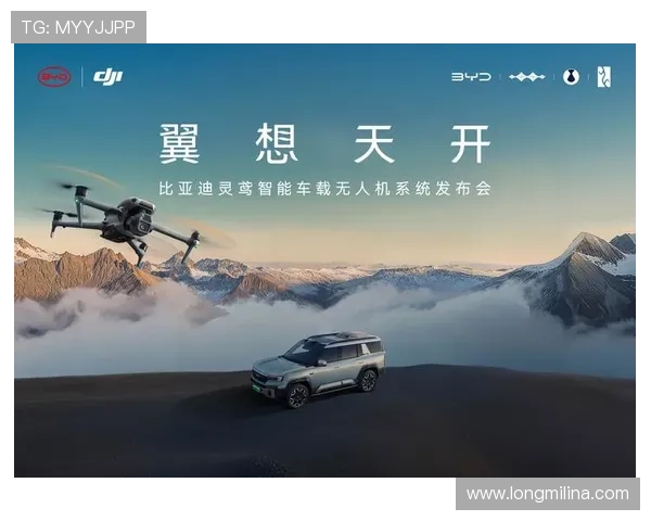 K8凯发提供的多元化娱乐服务及其在行业中的竞争优势