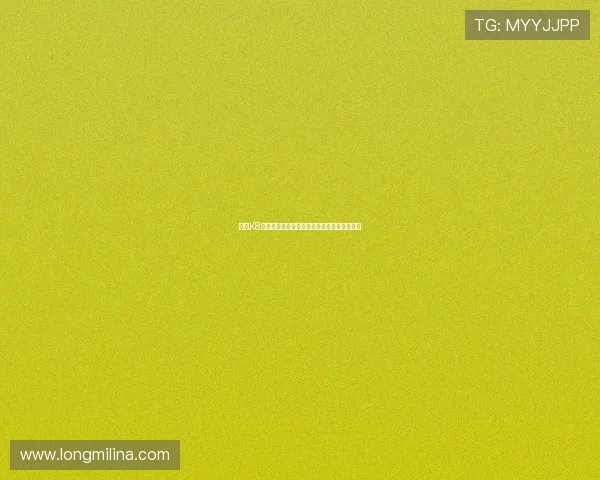 凯发K8真人游戏的客户服务体系与用户体验优化策略