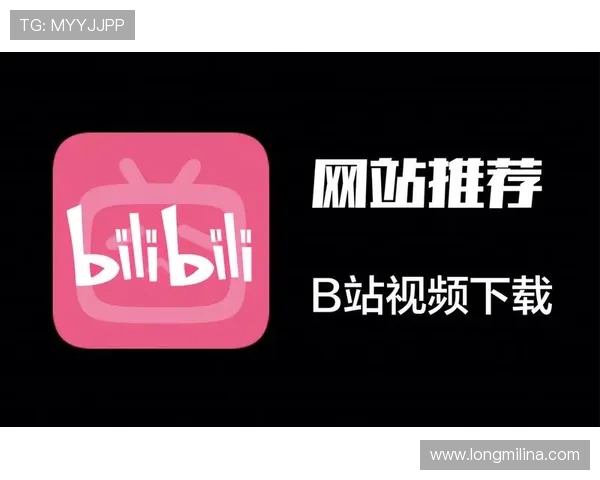 K8龙虎官网最新版本上线公告，新增功能与优化内容全面解析